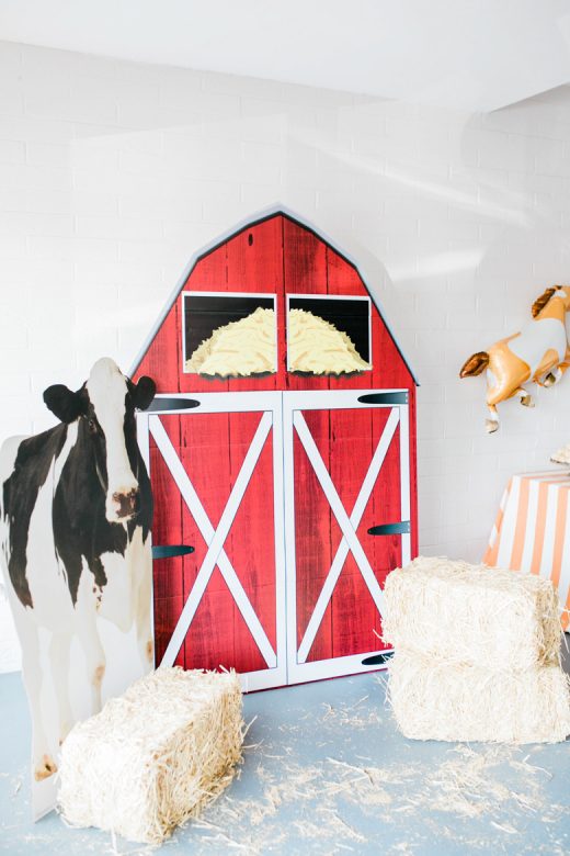 Farm Themed First Birthday Party Inspiration
